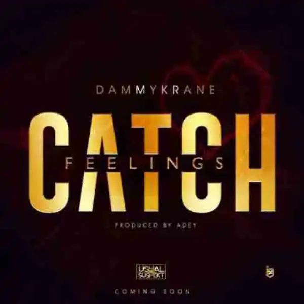 Dammy Krane - Catch Feelings